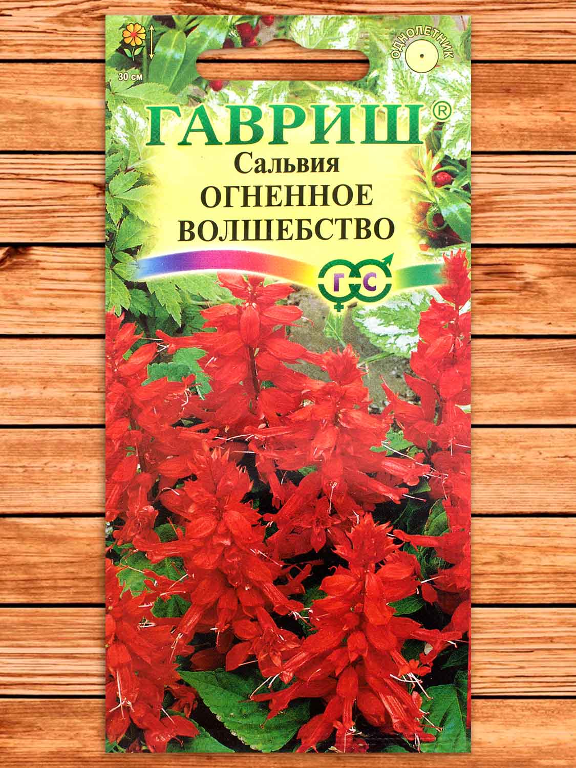 Сальвия (Шалфей) Огненное Волшебство 0,05 гр.