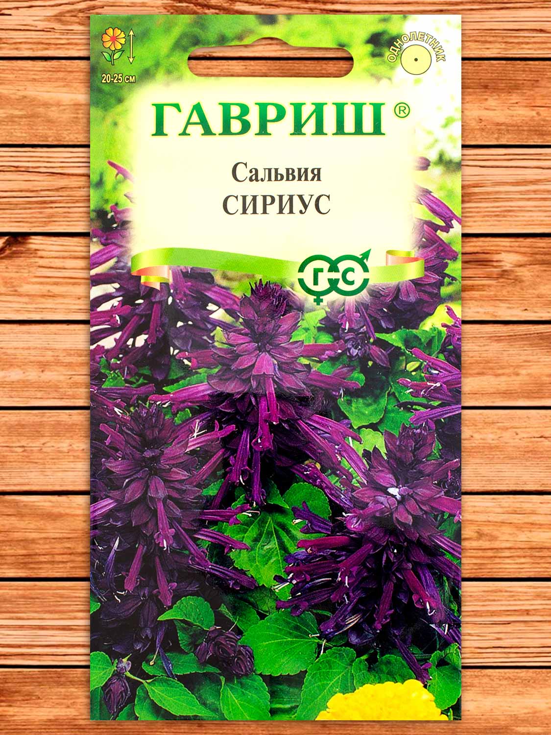 Сальвия Сириус Карликовая 4 шт.