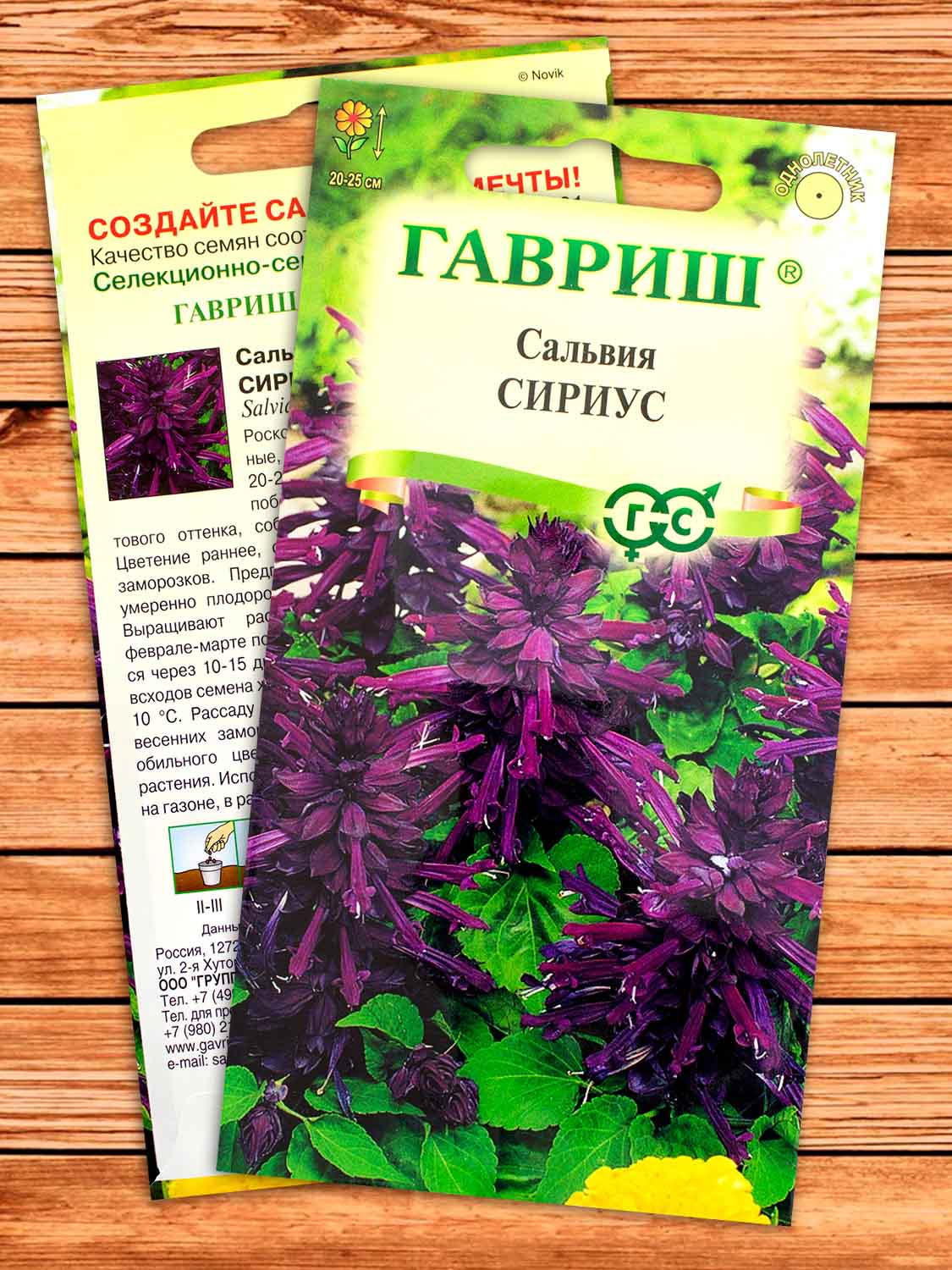 Сальвия Сириус Карликовая 4 шт.