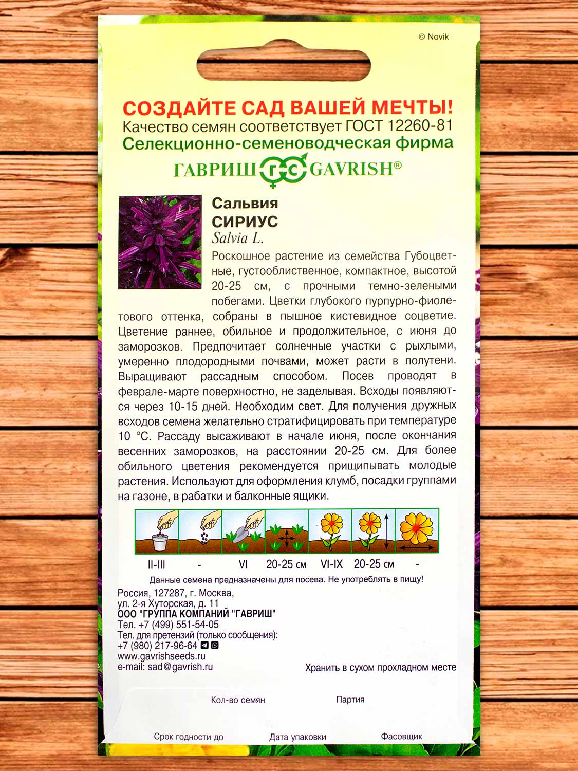 Сальвия Сириус Карликовая 4 шт.