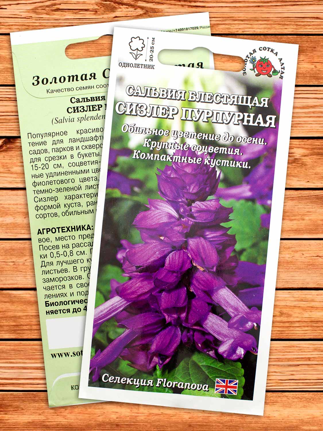 Сальвия Сизлер Пурпурная 10 шт.