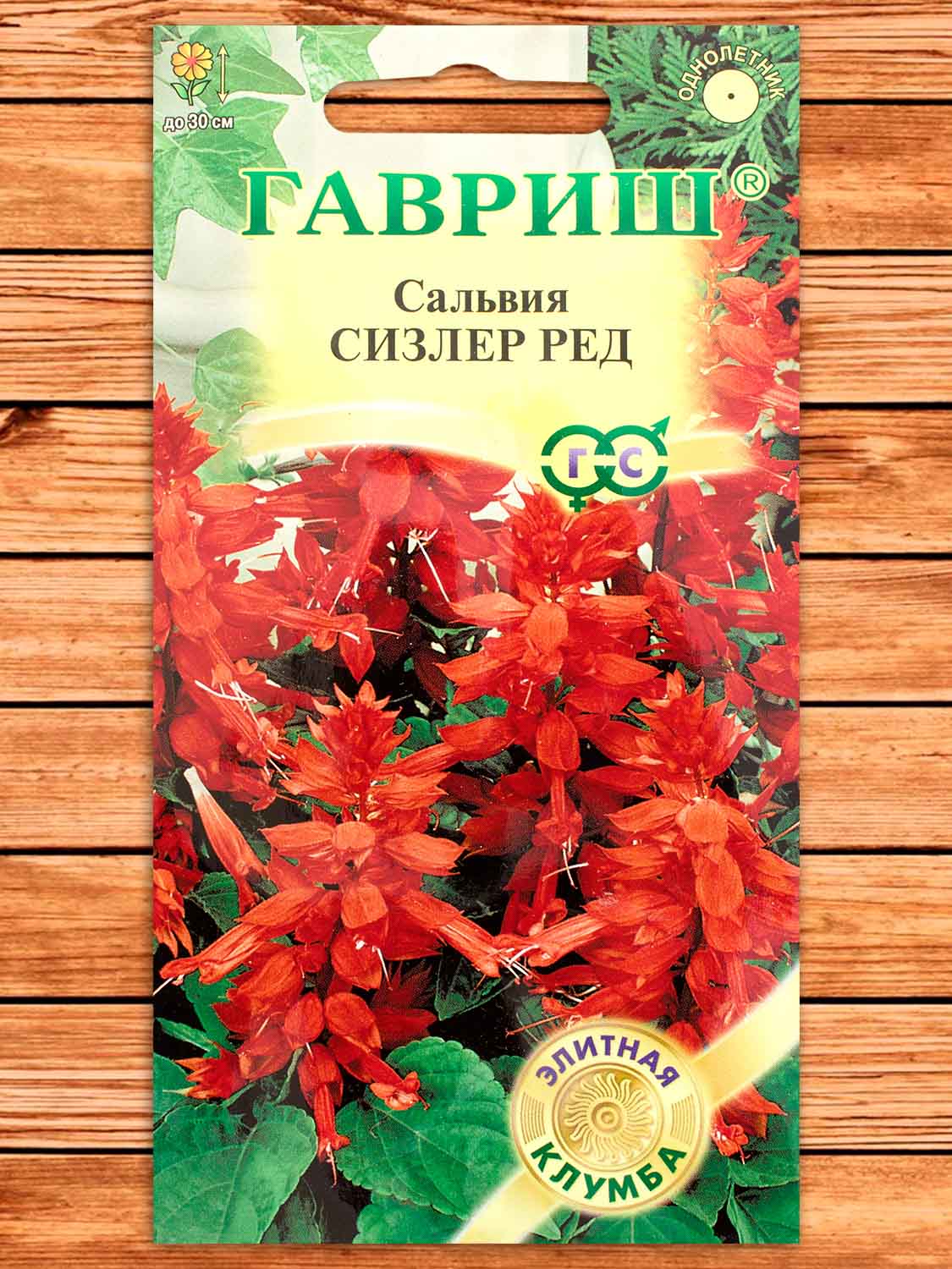 Сальвия Сизлер Ред 4 шт. серия Элитная клумба