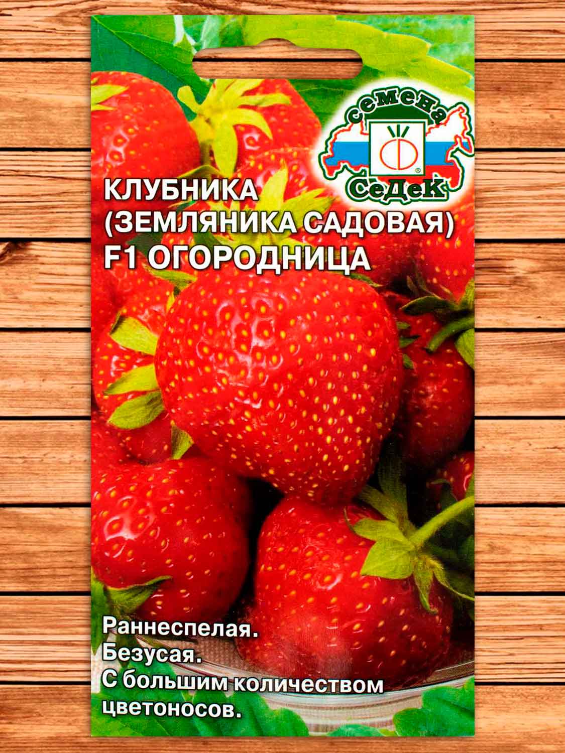 Земляника Огородница F1 крупноплодная, ремонтантная 15 шт.