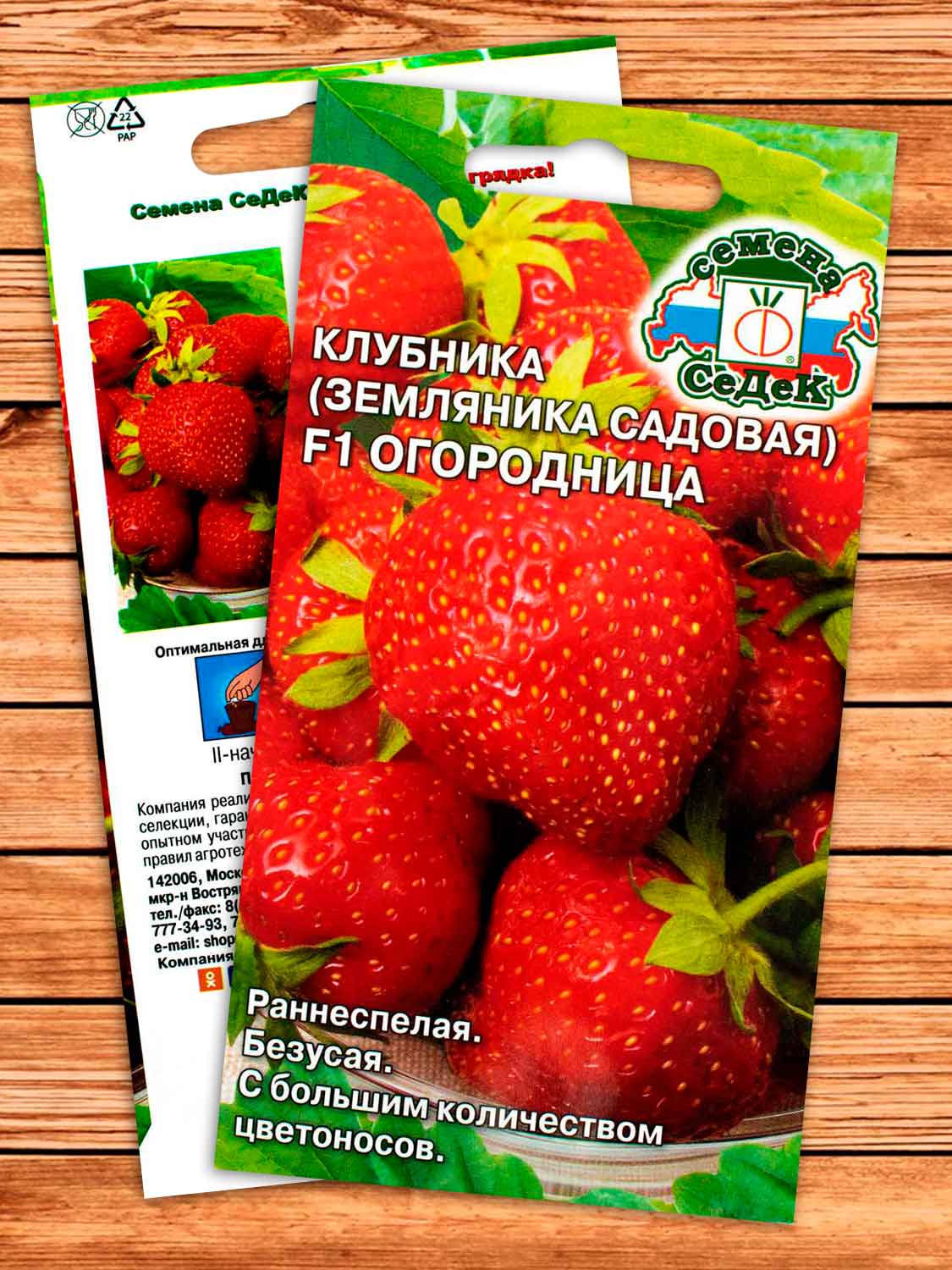 Земляника Огородница F1 крупноплодная, ремонтантная 15 шт.