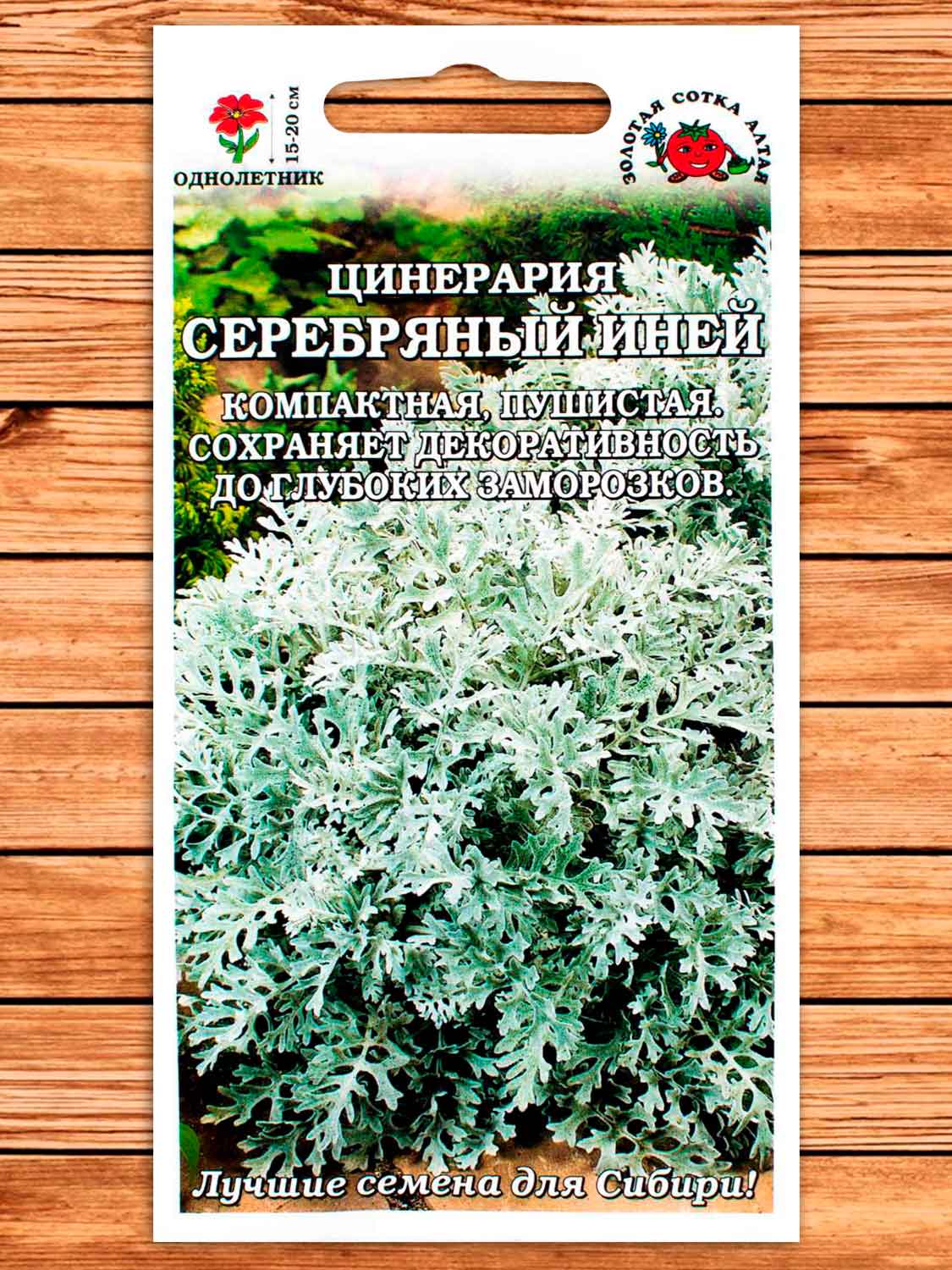 Цинерария Серебряный Иней 0,05 гр.