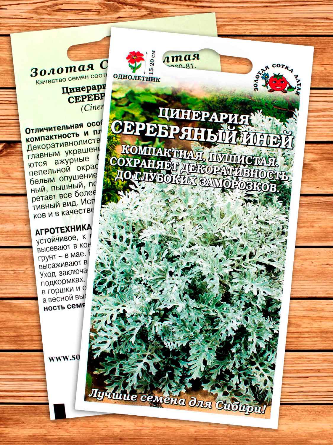 Цинерария Серебряный Иней 0,05 гр.