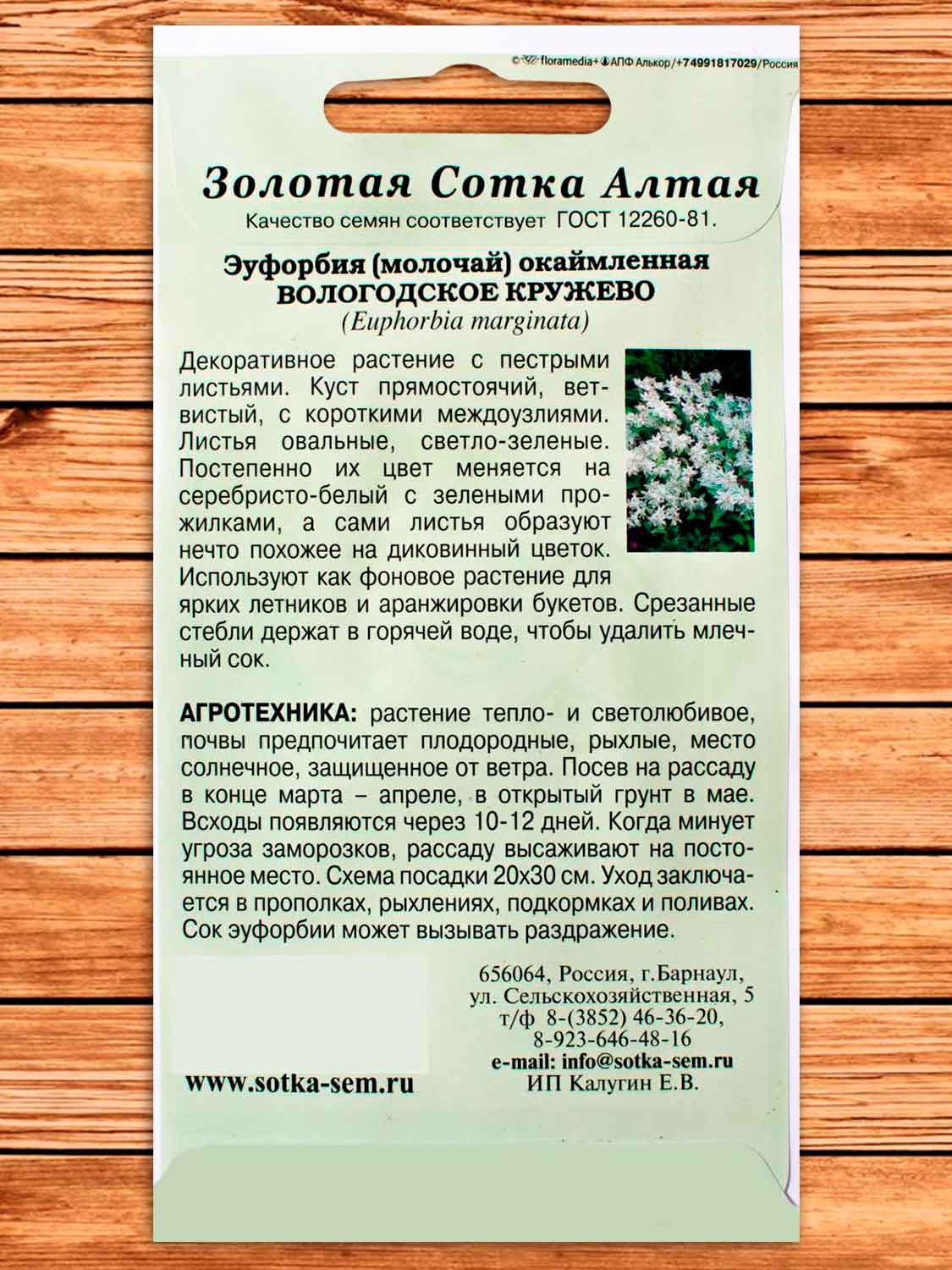 Эуфорбия Вологодское Кружево 0,2 гр.