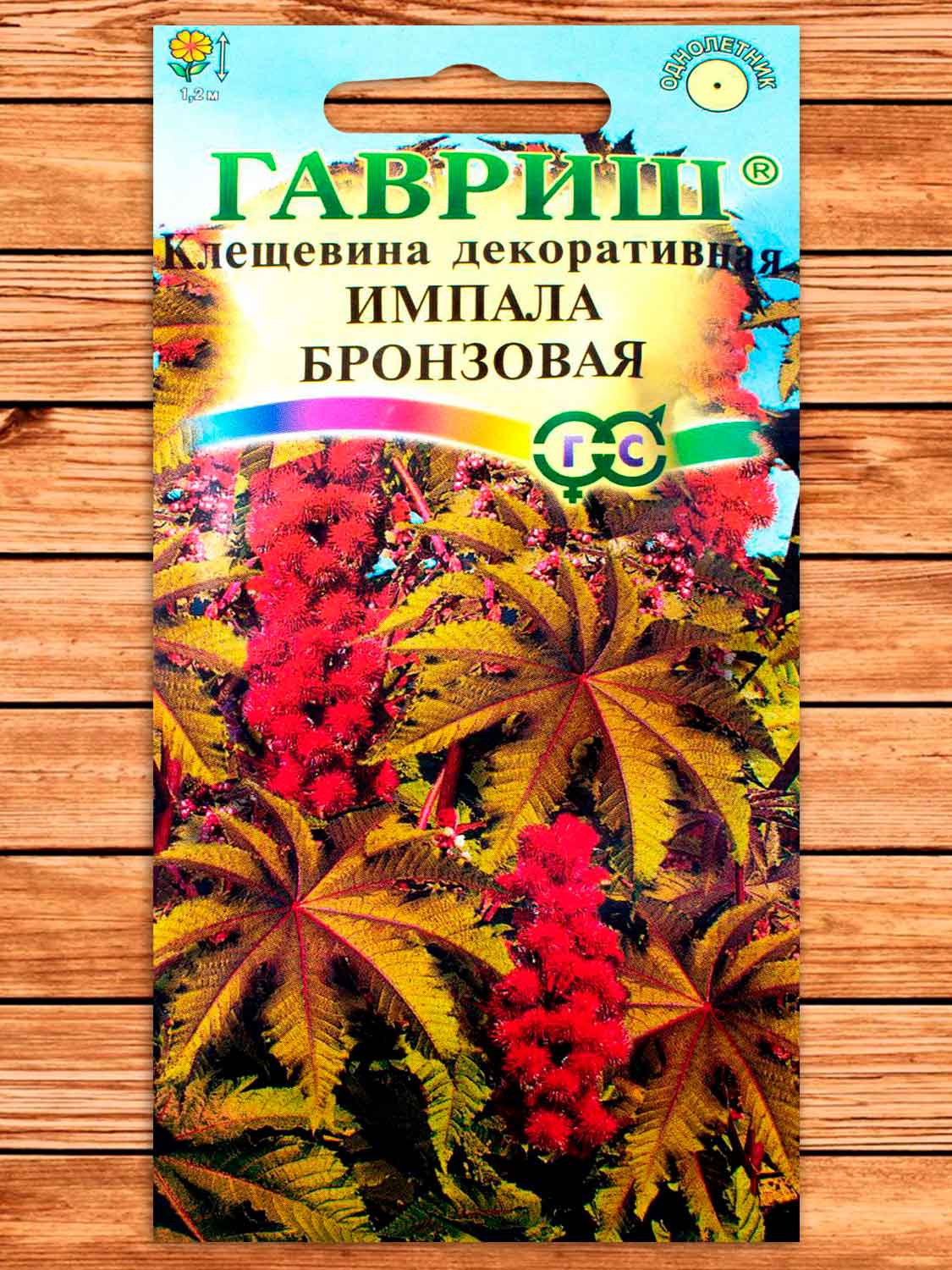 Клещевина Импала бронзовая 5 шт.