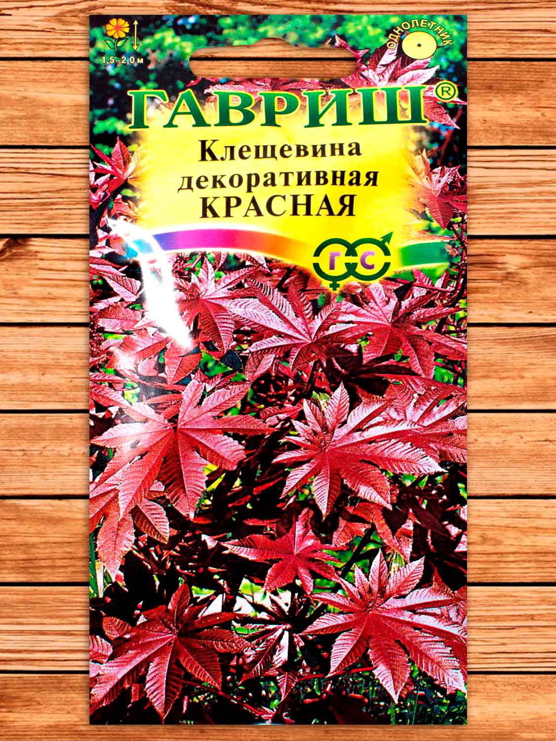 Клещевина Красная 5 шт.