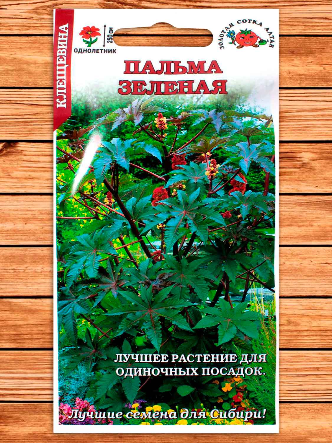 Клещевина Пальма Зеленая Занзибарская 3 шт.