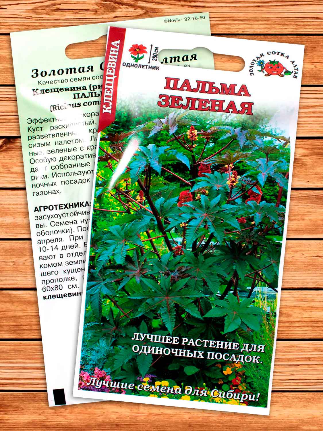 Клещевина Пальма Зеленая Занзибарская 3 шт.