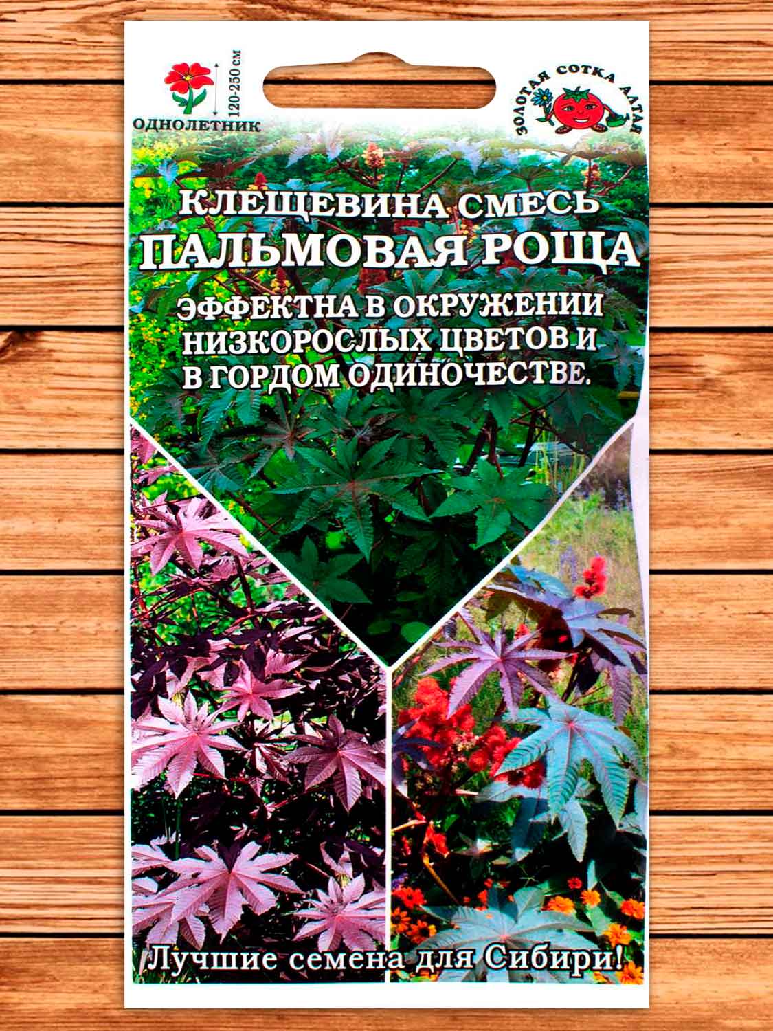 Клещевина Пальмовая Роща, смесь 3 шт.