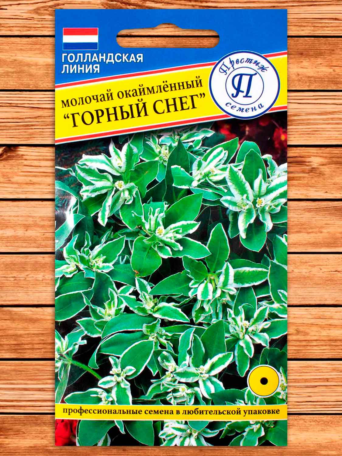 Молочай Горный Снег 20 шт.