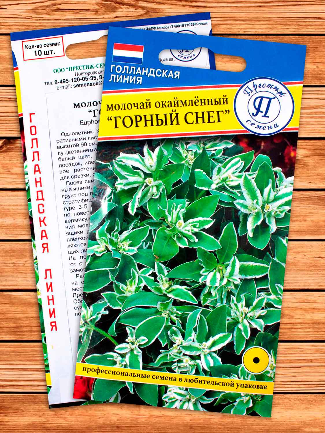 Молочай Горный Снег 20 шт.