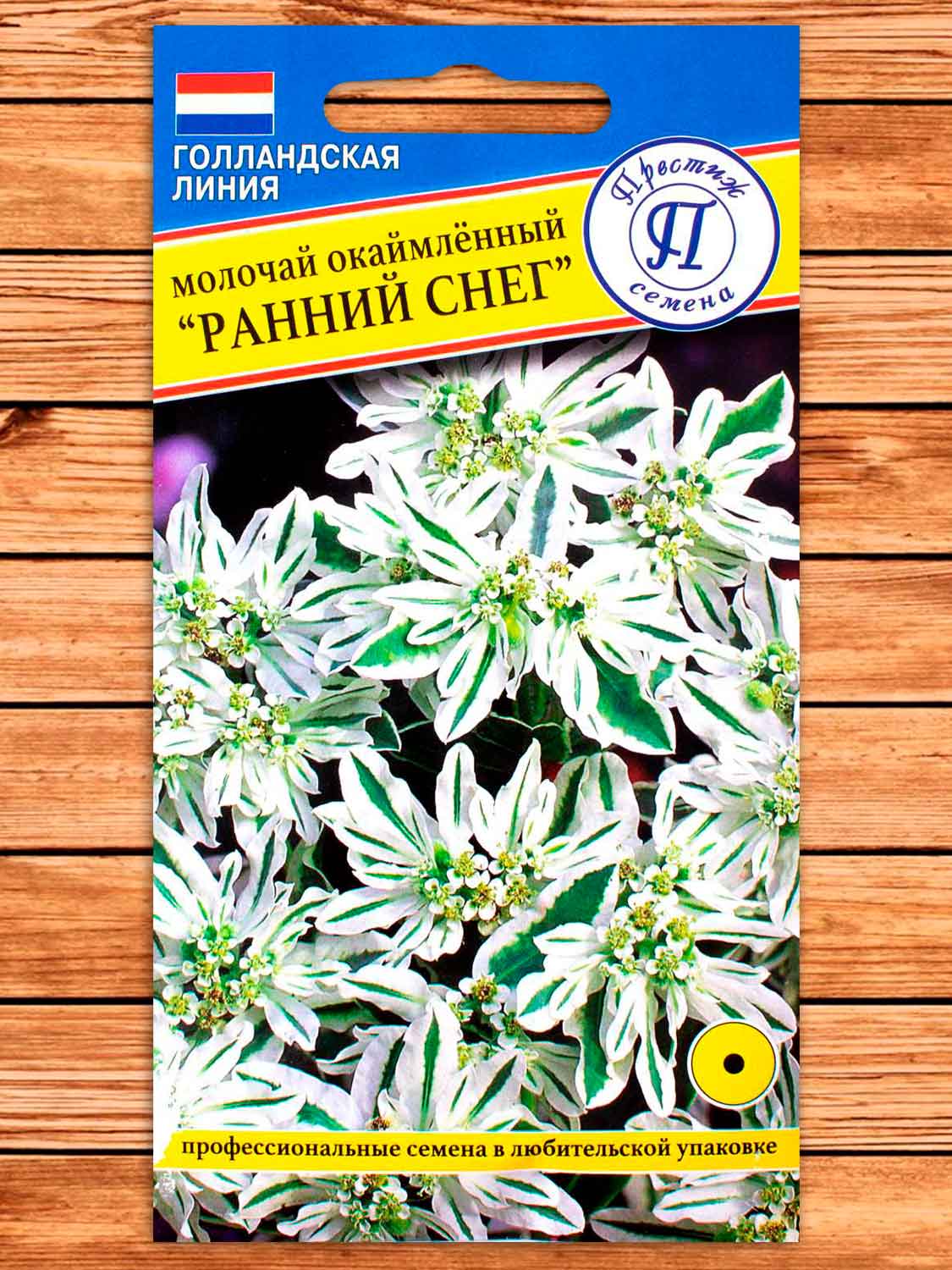 Молочай Ранний Снег однолетник 10 шт.