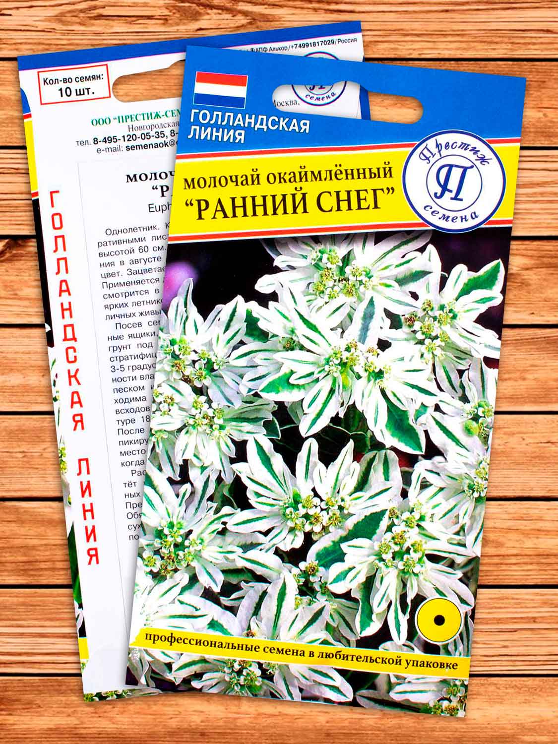Молочай Ранний Снег однолетник 10 шт.