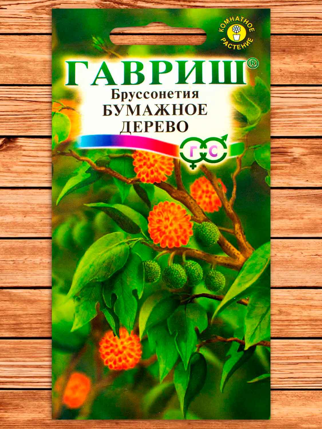 Бруссонетия Бумажное Дерево 3 шт.