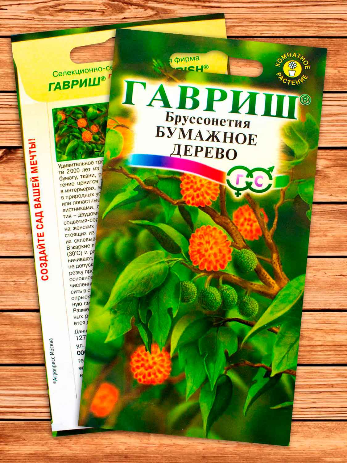 Бруссонетия Бумажное Дерево 3 шт.