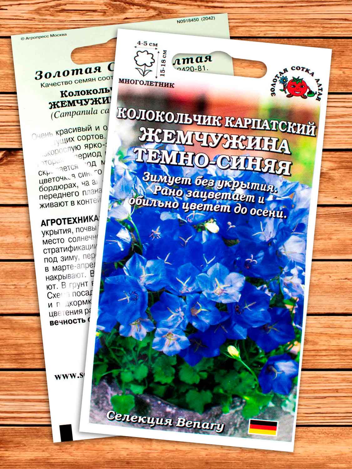 Колокольчик Карпатский Жемчужина темно-синий 5 шт.