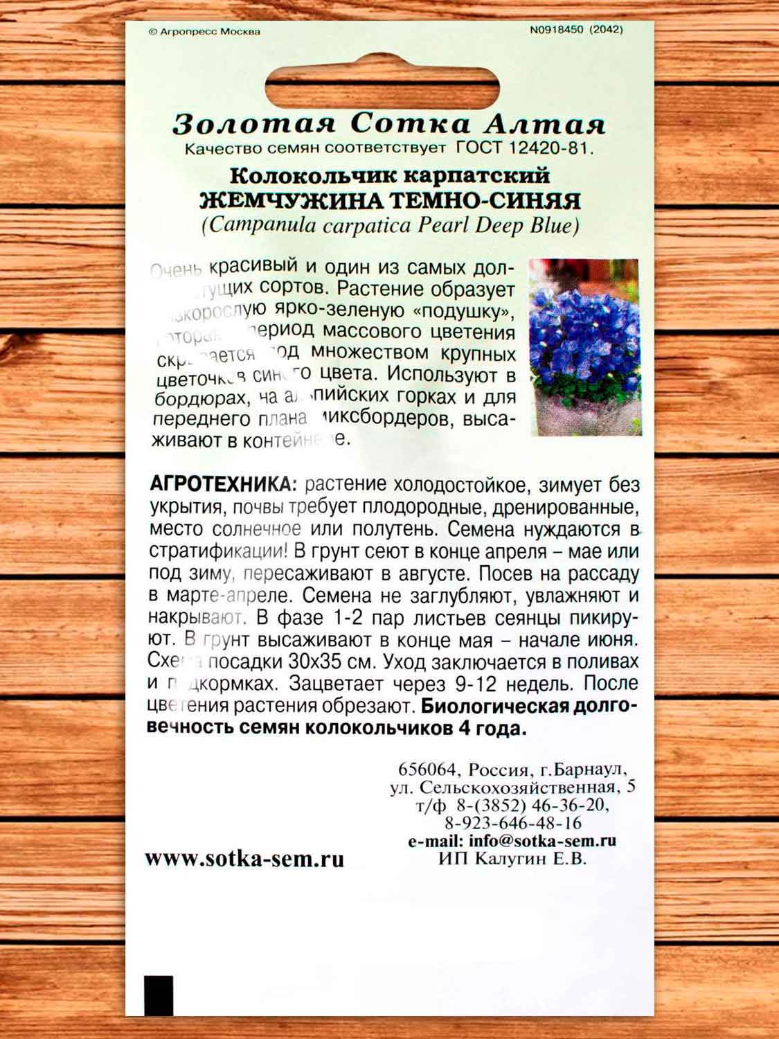 Колокольчик Карпатский Жемчужина темно-синий 5 шт.