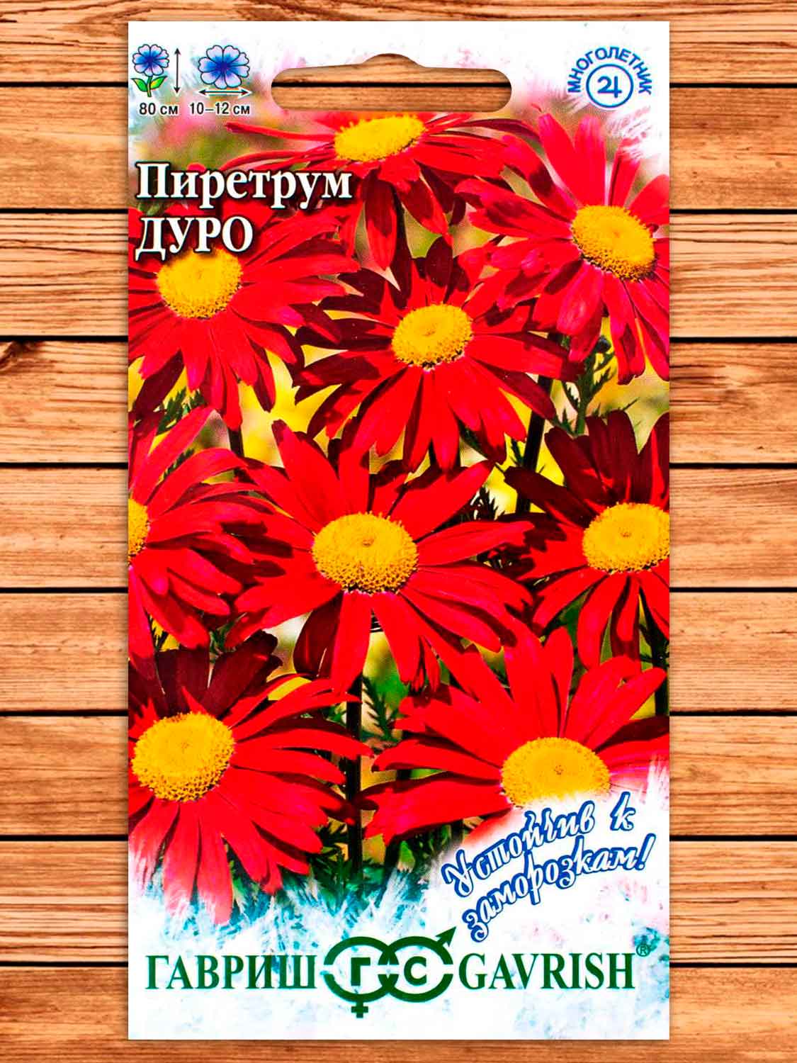 Пиретрум Дуро 0,2 гр. серия Устойчив к заморозкам!