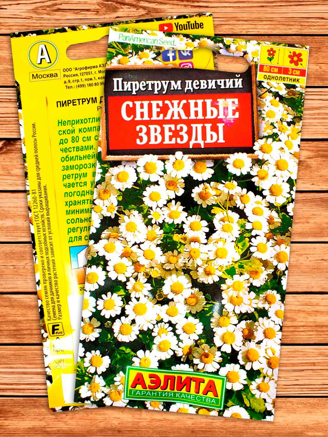 Пиретрум Снежные звезды 7 шт.