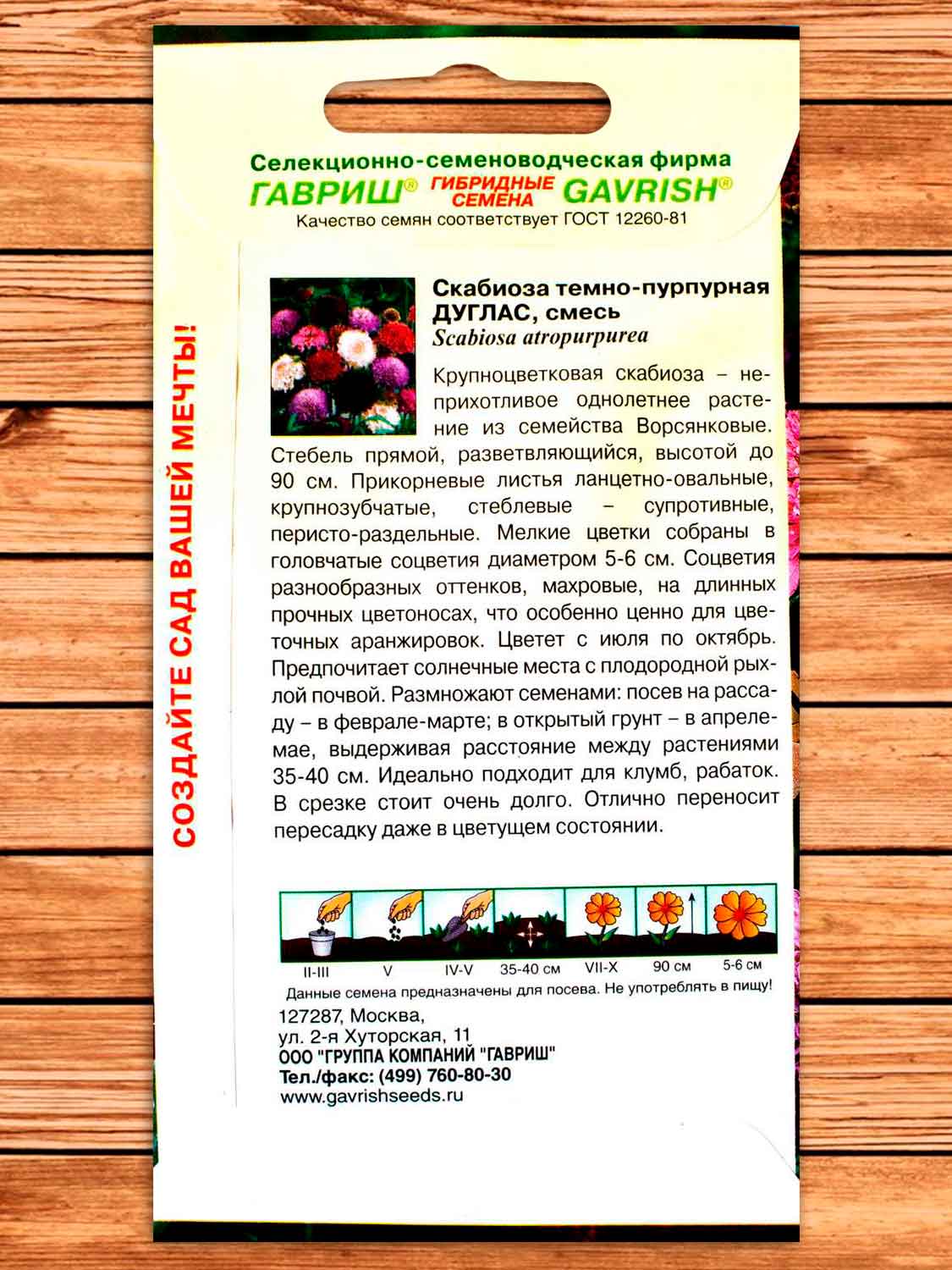 Скабиоза Дуглас темно-пурпурная 0,5 гр.