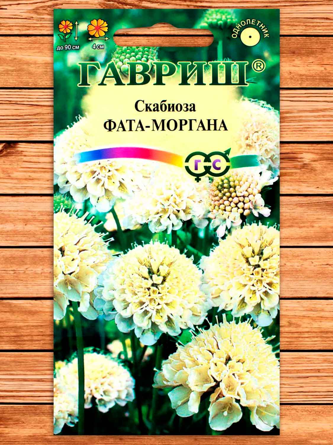 Скабиоза Темнопурпурная Фата-моргана махровая 7 шт.