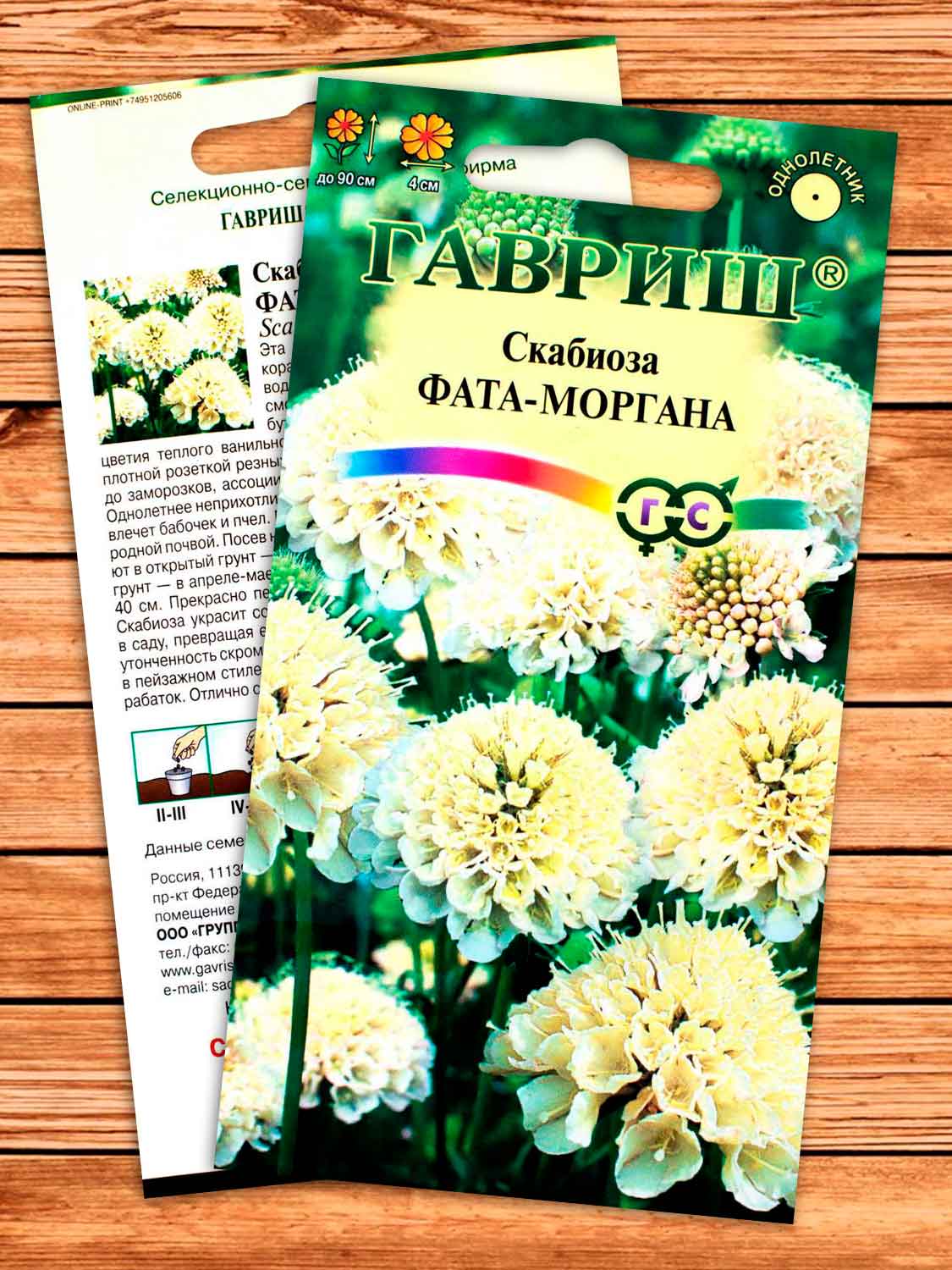 Скабиоза Темнопурпурная Фата-моргана махровая 7 шт.