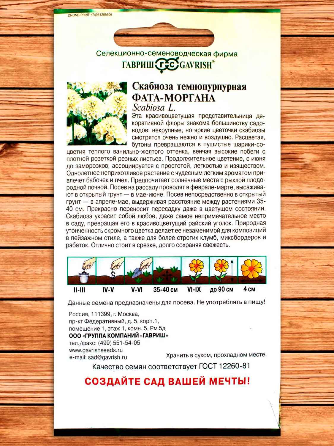 Скабиоза Темнопурпурная Фата-моргана махровая 7 шт.