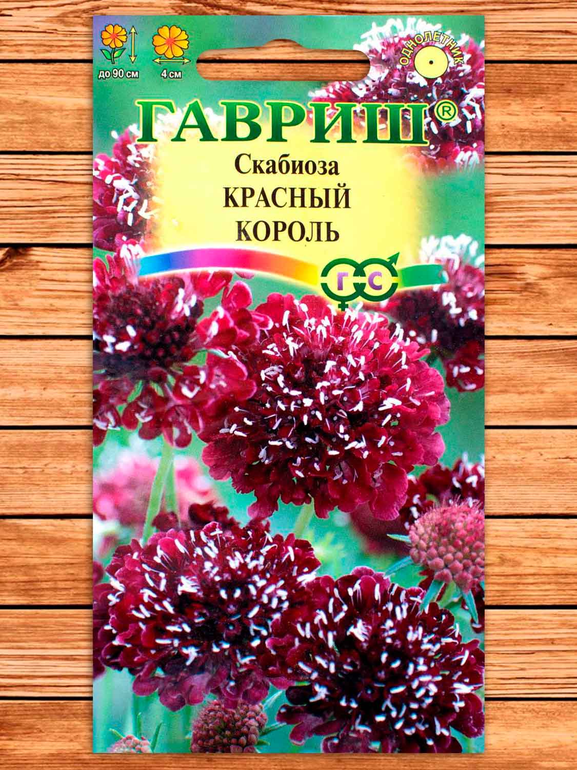 Скабиоза Темнопурпурная Красный Король махровая 7 шт.