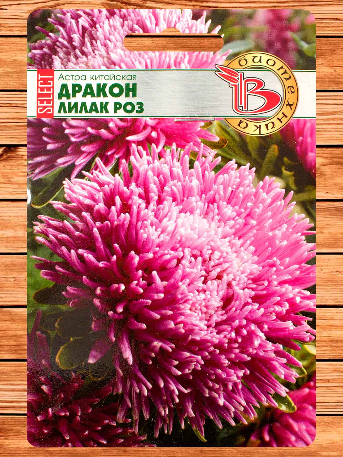Астра Китайская Дракон Лилак Роз 30 шт.