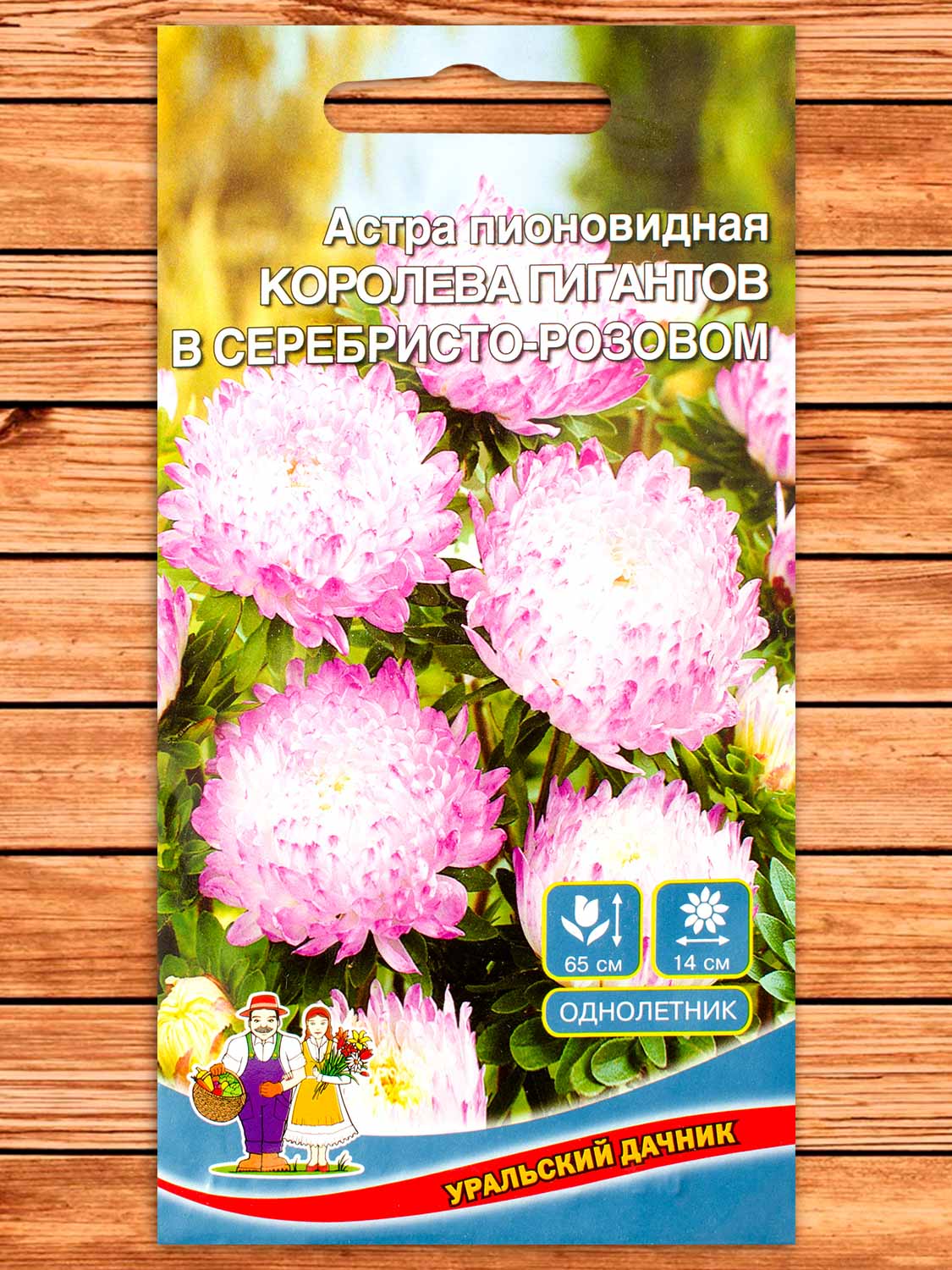 Астра Королева Гигантов в серебристо-розовом пионовидная 0,2 гр.