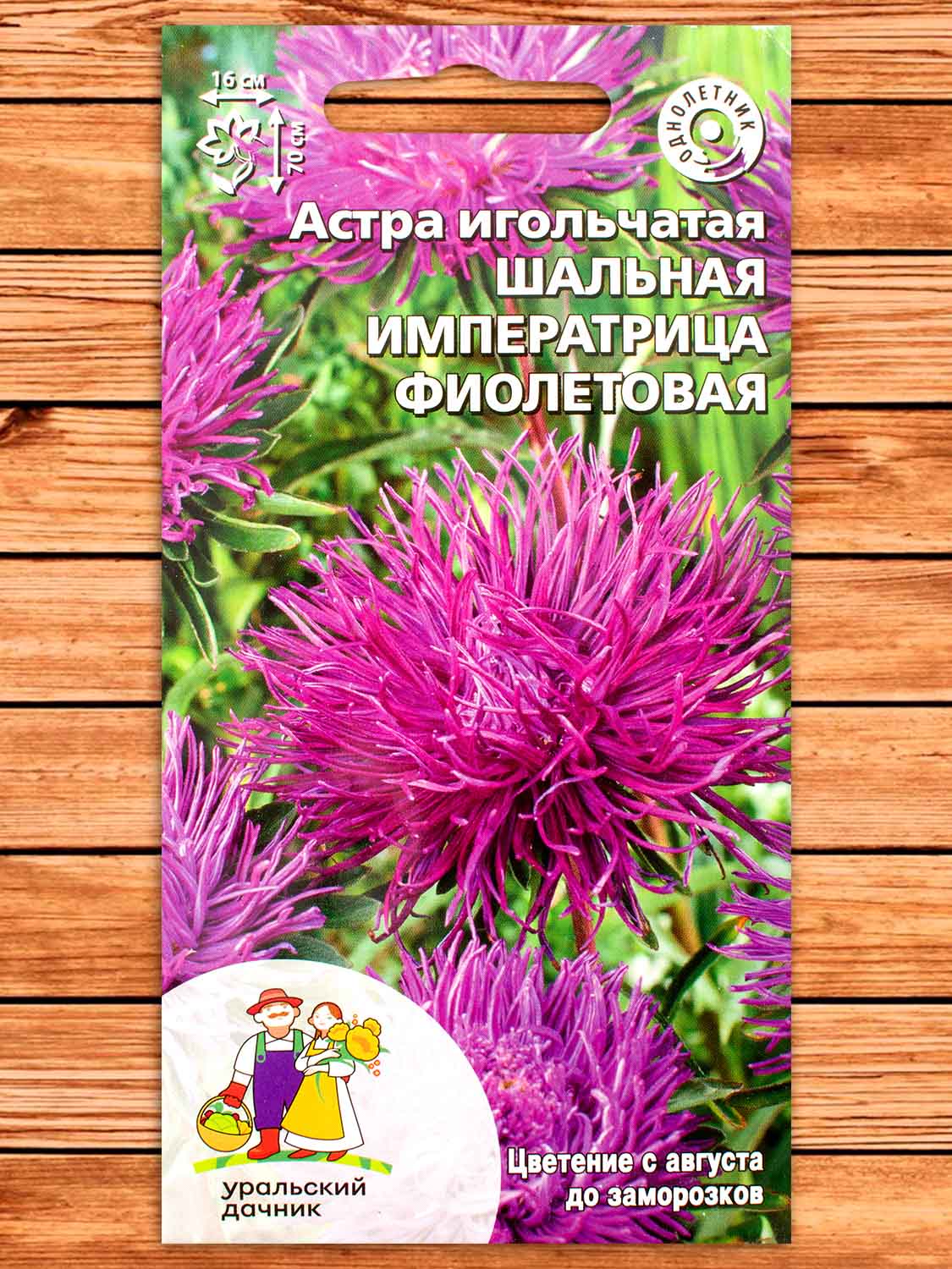 Астра Шальная императрица фиолетовая игольчатая 0,2 гр.