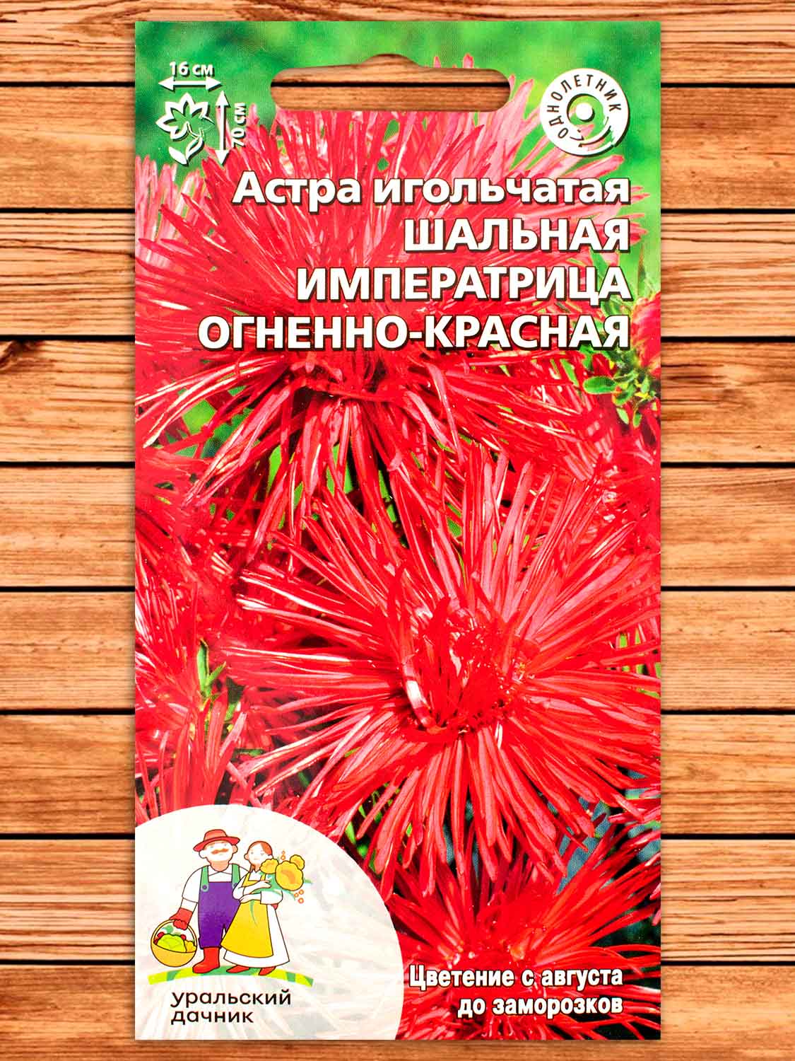Астра Шальная императрица огненно-красная игольчатая 0,2 гр.