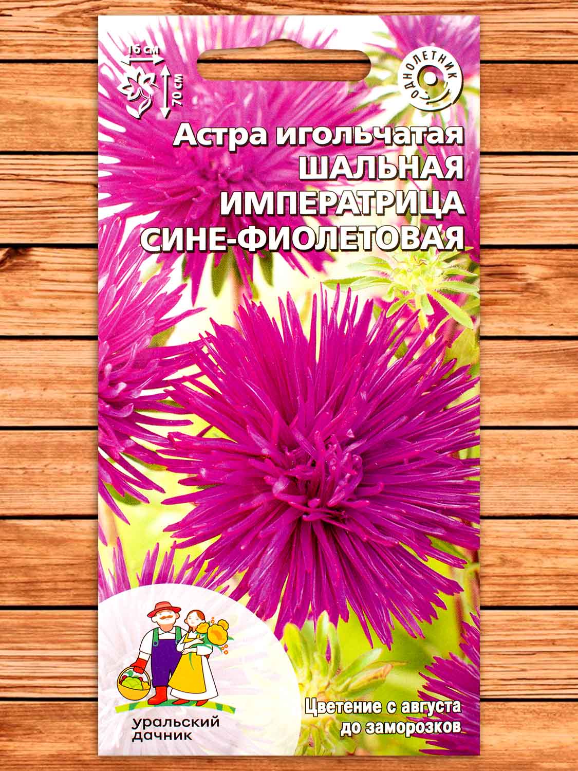 Астра Шальная императрица сине-фиолетовая игольчатая 0,2 гр.